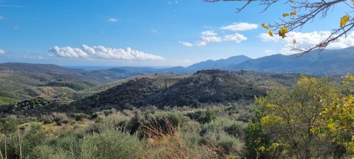 Image No.4-Ferme de 1 chambre à vendre à Gytheio