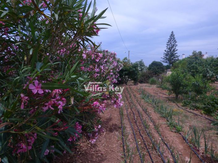 Image No.7-Maison de 3 chambres à vendre à Lagos