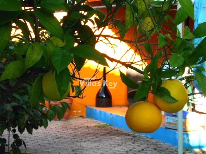 Image No.19-4 Bed House for sale