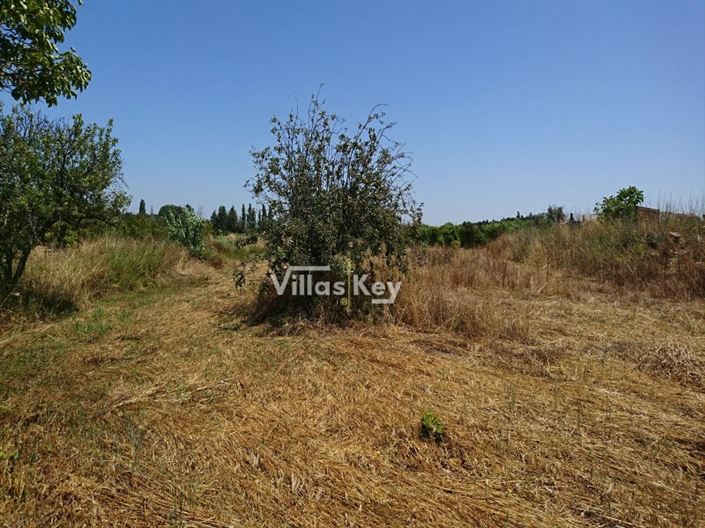 Image No.4-Terrain à vendre à Lagos