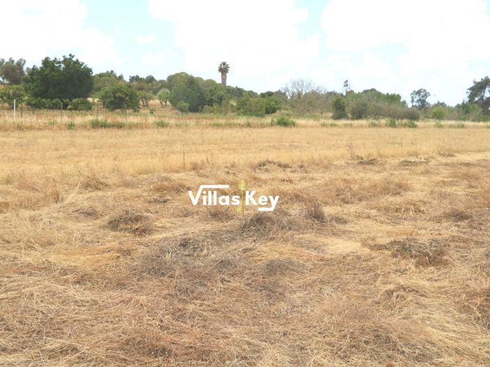 Image No.3-Plot for sale