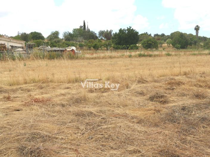 Image No.4-Plot for sale