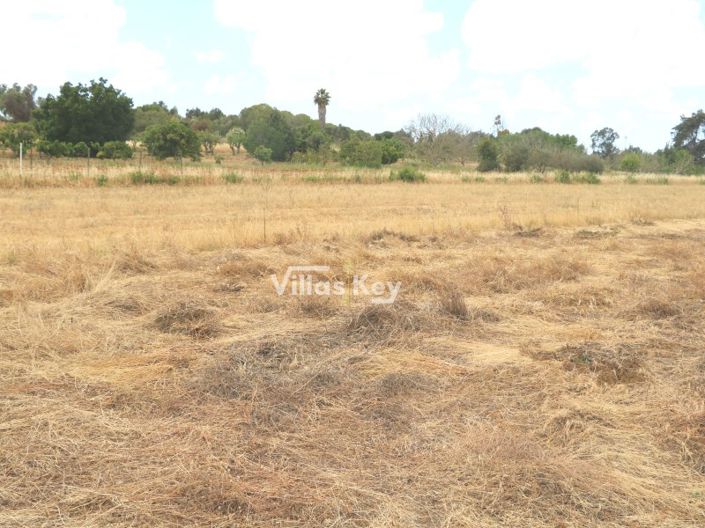 Image No.8-Plot for sale