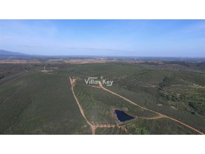 Image No.4-Plot for sale