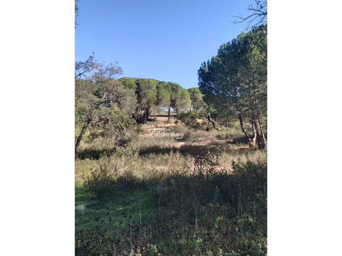 Image No.6-Terrain à vendre à Silves