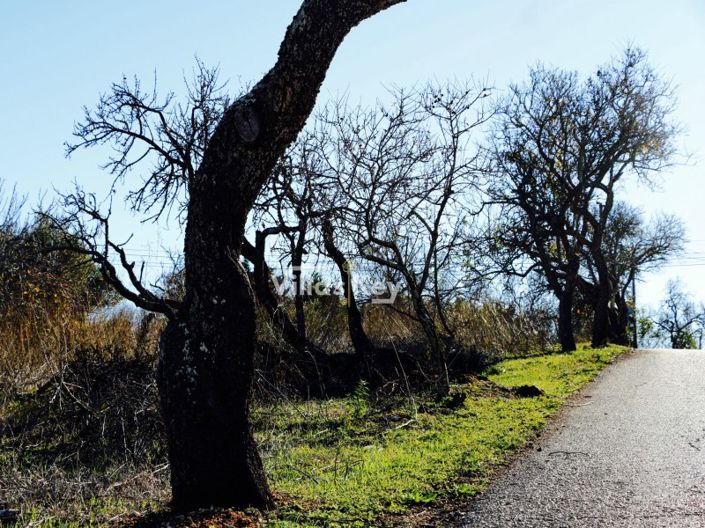 Image No.21-Plot for sale