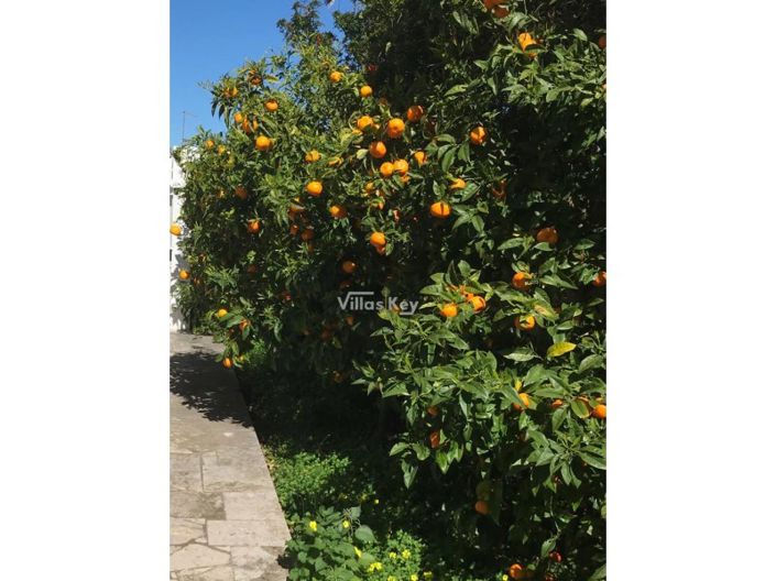 Image No.79-9 Bed Commercial for sale