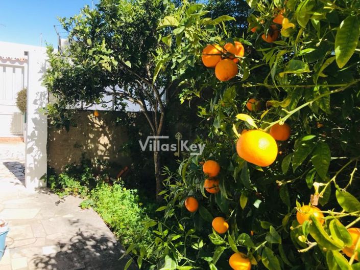 Image No.80-9 Bed Commercial for sale