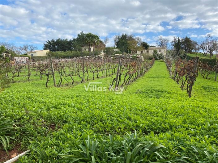 Image No.10-9 Bed House for sale