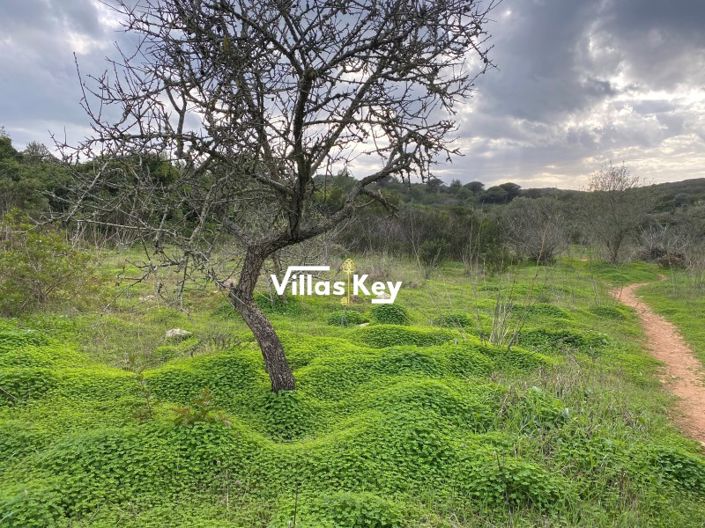 Image No.12-9 Bed House for sale