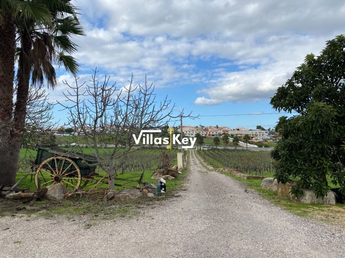 Image No.20-9 Bed House for sale