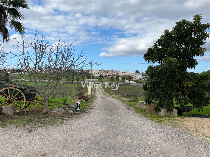 Image No.33-9 Bed House for sale