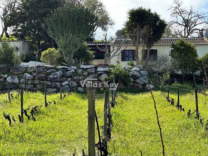 Image No.38-9 Bed House for sale