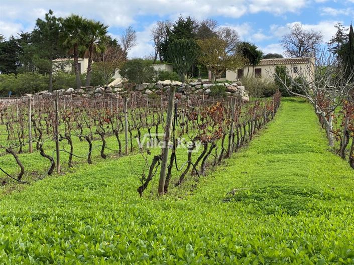 Image No.2-9 Bed House for sale