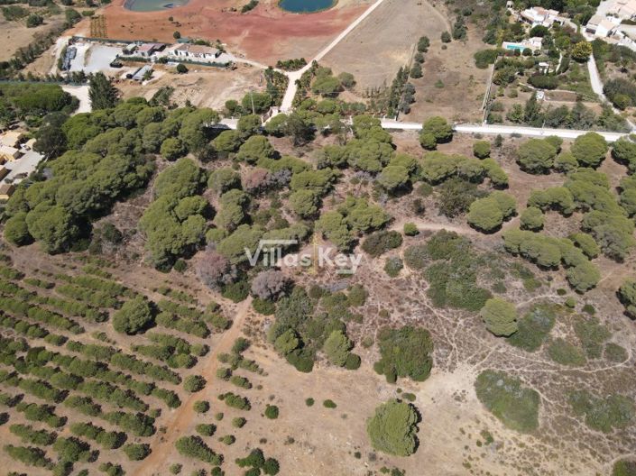 Image No.13-Plot for sale
