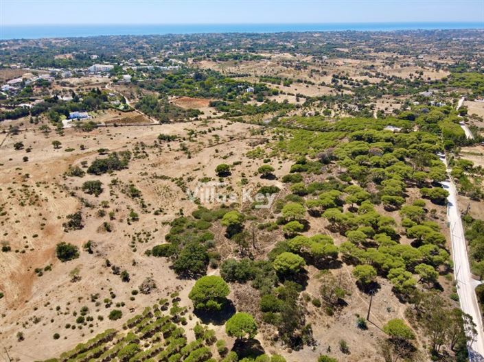 Image No.12-Terrain à vendre à Lagoa