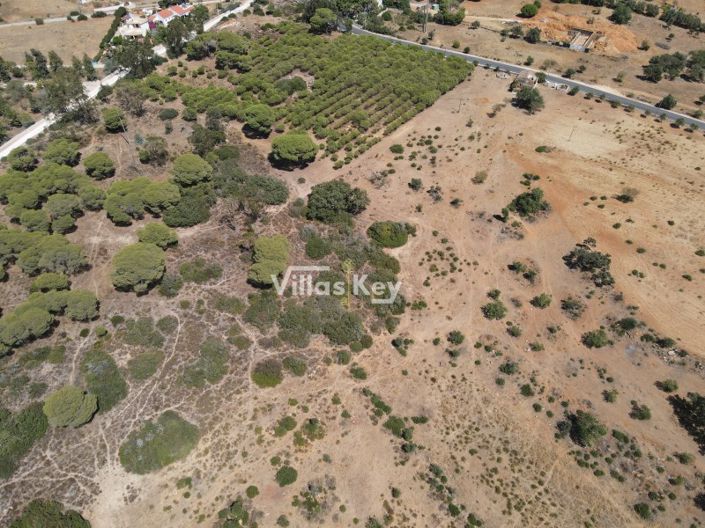 Image No.14-Plot for sale