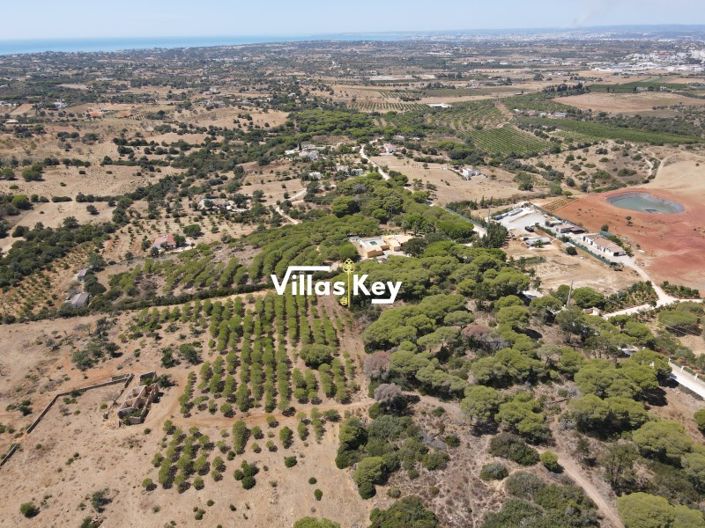 Image No.14-Terrain à vendre à Lagoa