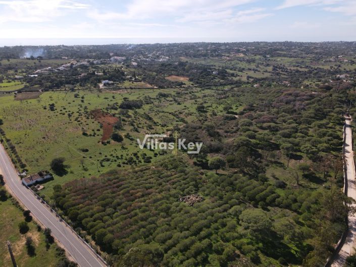 Image No.18-Terrain à vendre à Lagoa