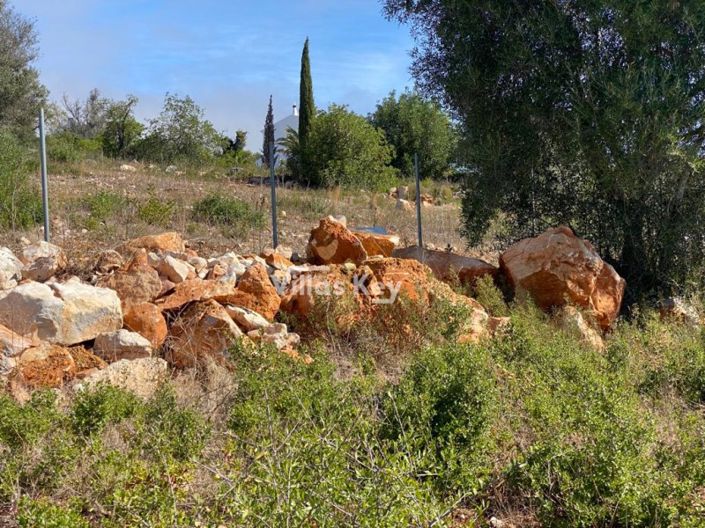 Image No.17-Terrain à vendre à Silves