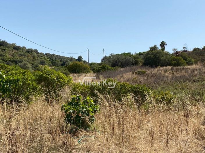 Image No.3-Terrain à vendre à Lagos