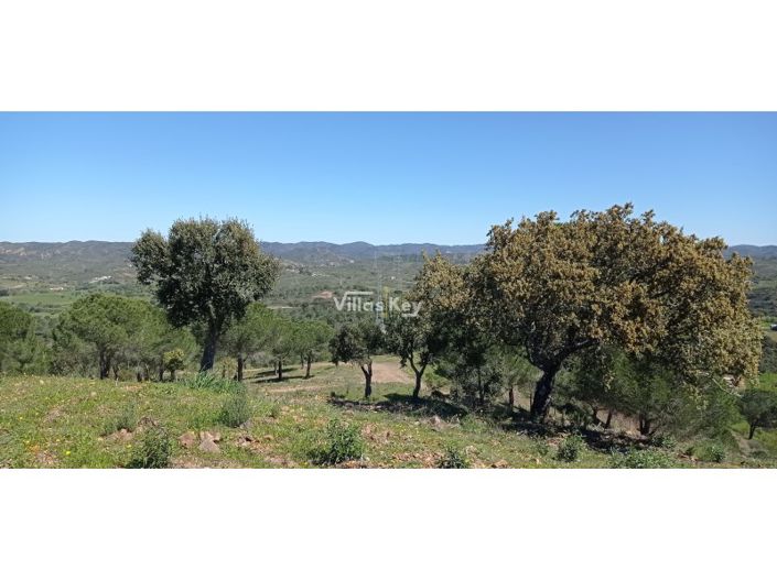 Image No.11-Ferme de 2 chambres à vendre à Silves