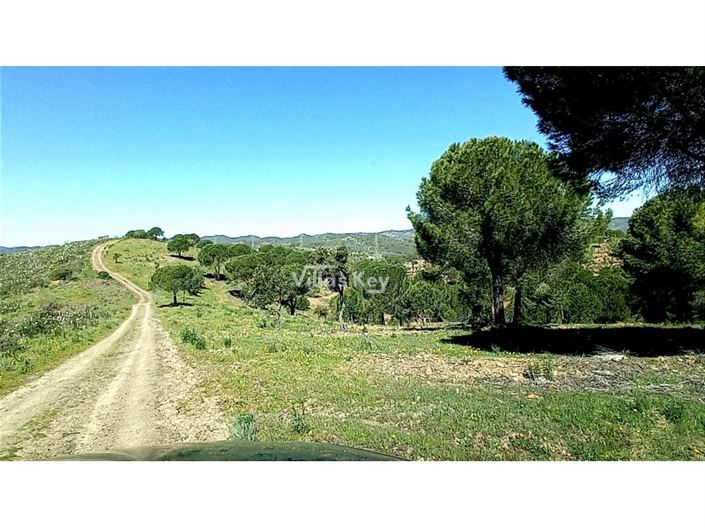 Image No.7-Ferme de 2 chambres à vendre à Silves