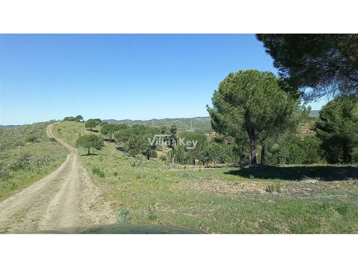 Image No.8-Ferme de 2 chambres à vendre à Silves