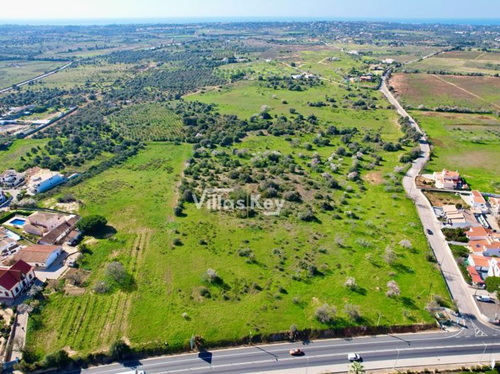 Image No.7-Terrain à vendre à Lagoa