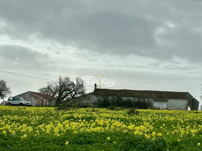 Image No.12-2 Bed Farmhouse for sale