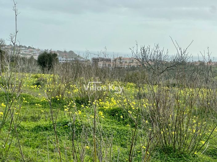 Image No.3-2 Bed Farmhouse for sale