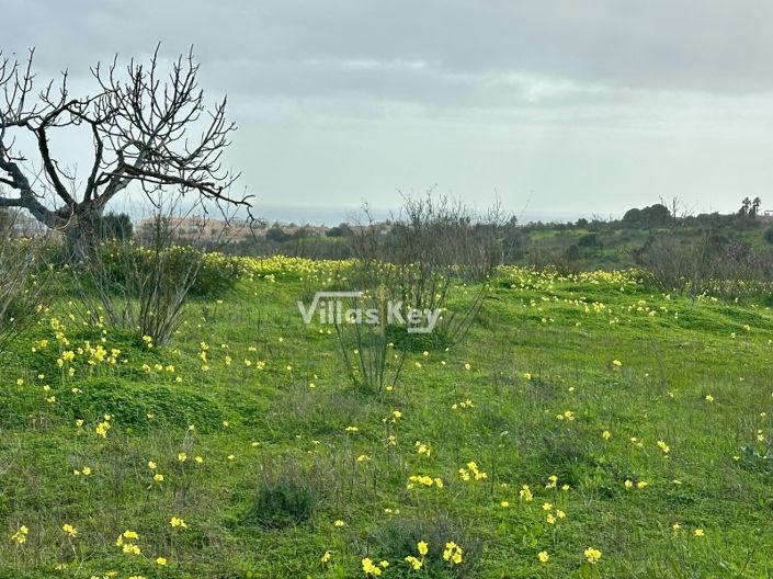 Image No.5-2 Bed Farmhouse for sale