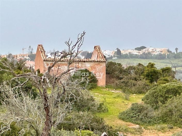 Image No.2-Ferme à vendre à Lagos