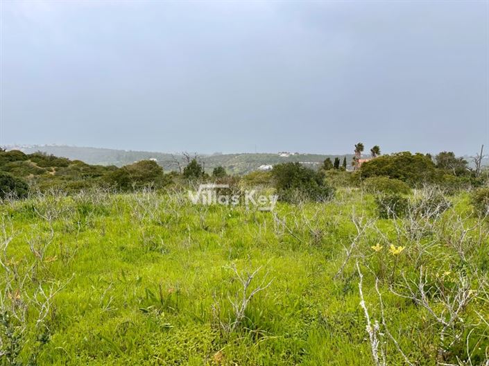 Image No.5-Ferme à vendre à Lagos