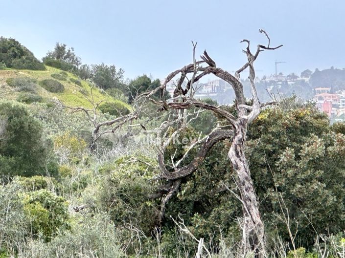 Image No.6-Ferme à vendre à Lagos