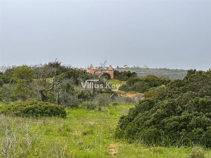 Image No.7-Ferme à vendre à Lagos