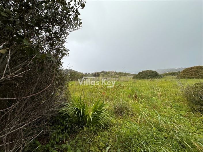 Image No.9-Ferme à vendre à Lagos