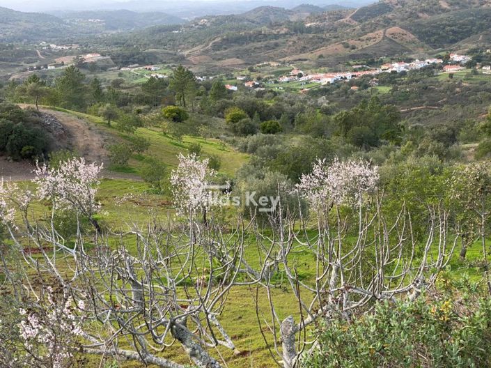 Image No.8-Ferme de 2 chambres à vendre à Loule