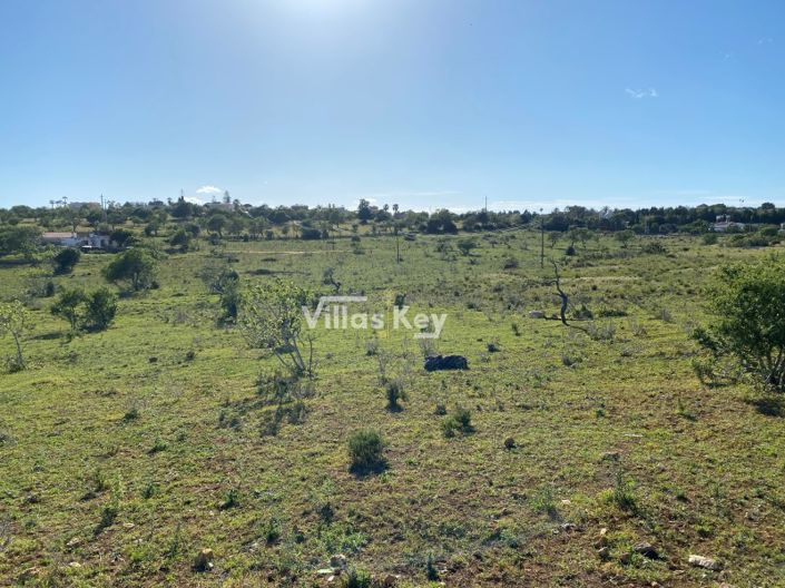 Image No.14-Plot for sale