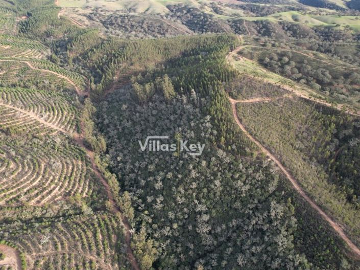 Image No.10-Ferme à vendre à Odemira