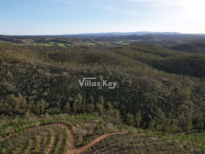 Image No.11-Ferme à vendre à Odemira