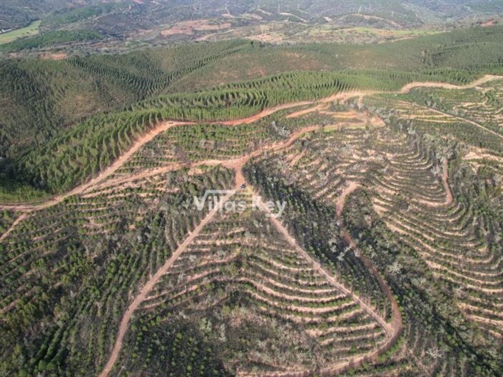 Image No.12-Ferme à vendre à Odemira