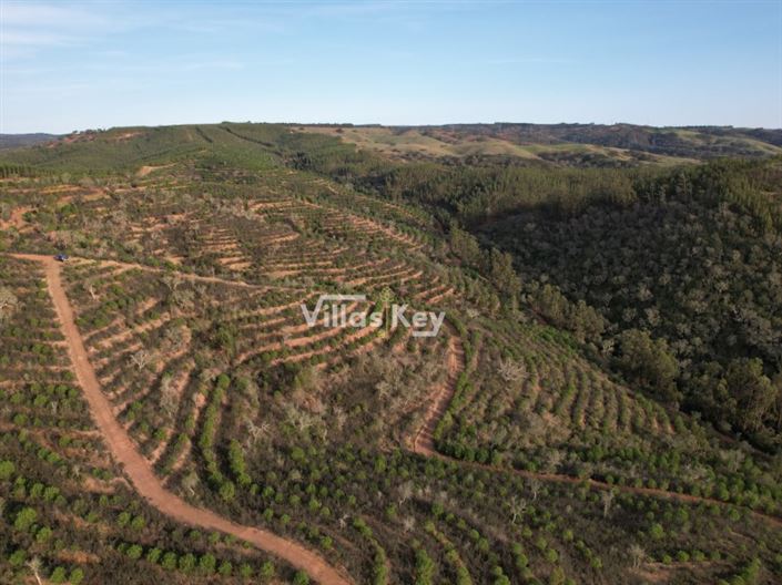 Image No.13-Ferme à vendre à Odemira