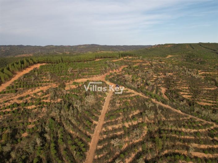 Image No.14-Ferme à vendre à Odemira