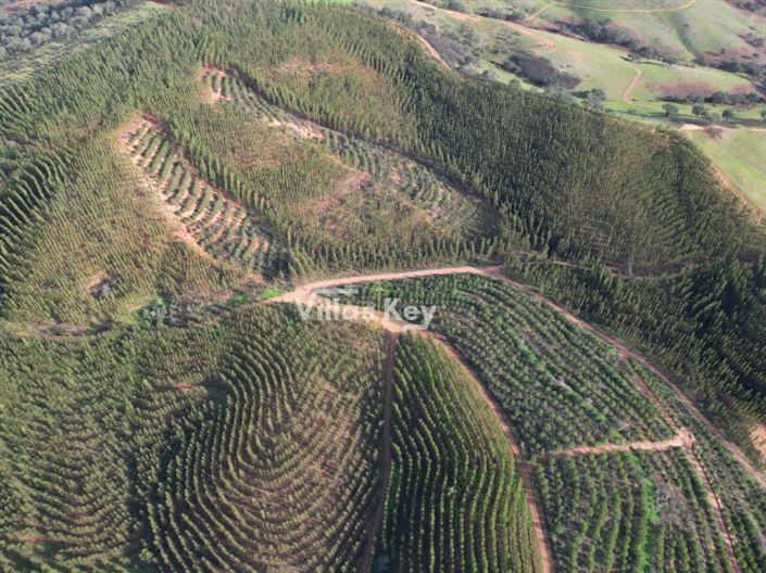 Image No.4-Ferme à vendre à Odemira