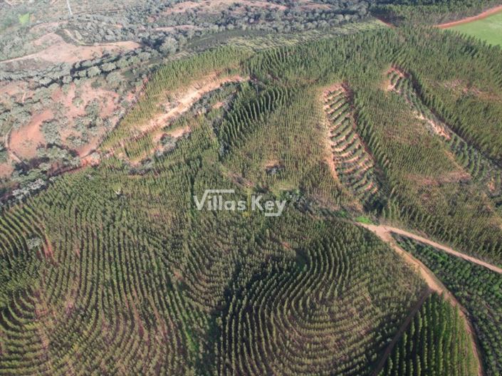 Image No.5-Ferme à vendre à Odemira