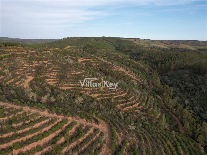 Image No.8-Ferme à vendre à Odemira