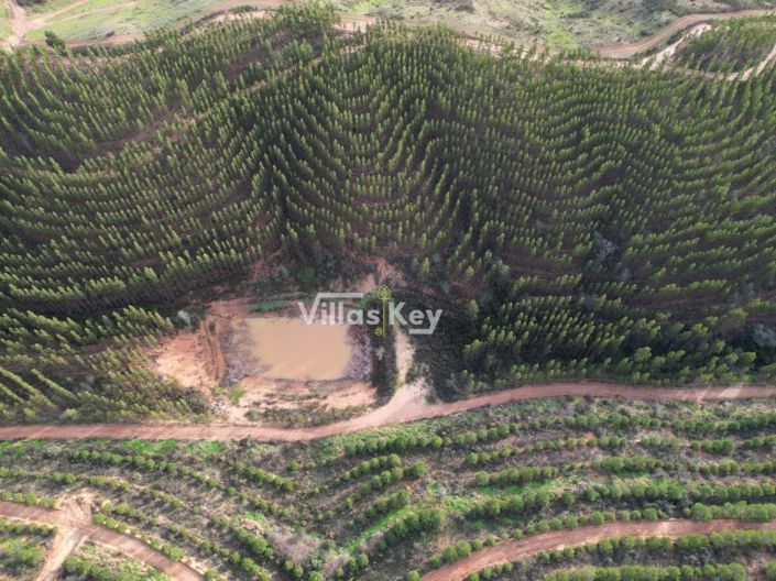 Image No.9-Ferme à vendre à Odemira