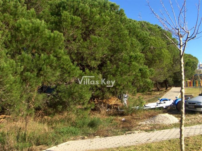 Image No.11-Terrain à vendre à Faro City