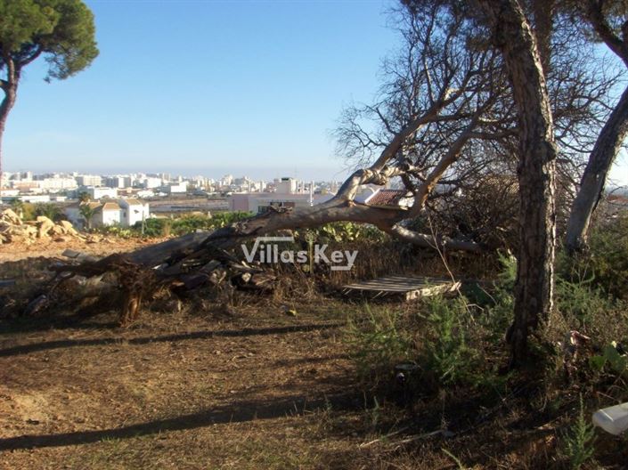 Image No.14-Terrain à vendre à Faro City